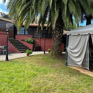 Ceiba El Rosario (Tenerife)